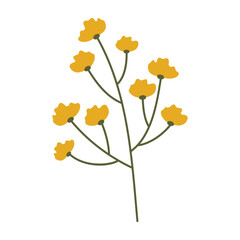 Set of flat botanical elements with colorful flowers, berries, and leaves