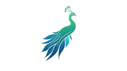 Fototapeta premium Peacock design, artistic illustration, white background