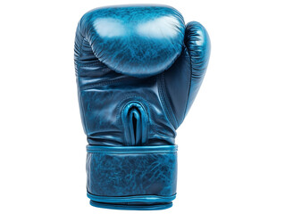 Light Blue Boxing Glove