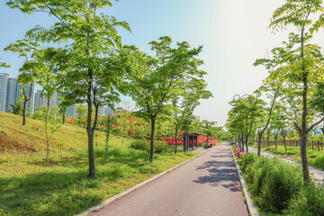 A green park great for a walk, with red flowers visible in the distance.