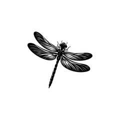 Dragonfly Silhouette Vector Illustration