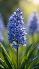 Soft light illuminates vibrant blue flower delicate petals. AI Generated