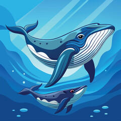 Naklejka premium A mother humpback whale swimming with her calf in the clear blue ocean.