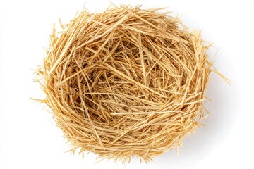 Empty bird's nest of straw.