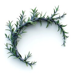 Obraz premium Twisted Green Wreath on White