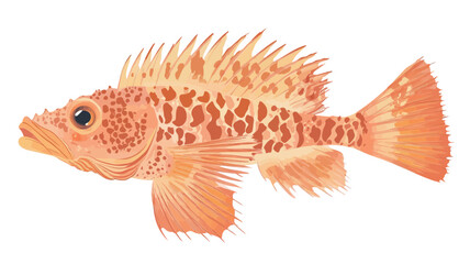 Fototapeta premium detailed digital illustration of an orange snapper, rendered in vibrant orange and red, showing intricate detail.