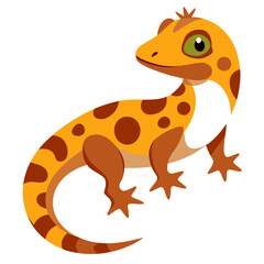 gecko on white background