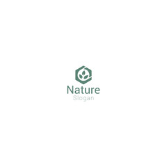 Hexagon Leaf Nature Logo Design with White Background for Eco Branding. 