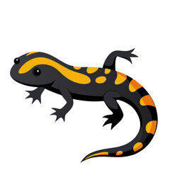 salamander 
