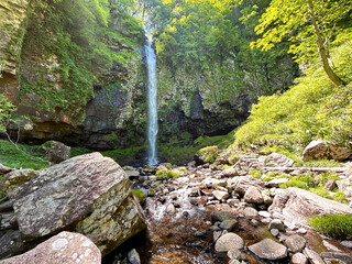 緑に囲まれた滝