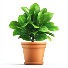 Vibrant green plant in a terracotta pot against a white background.