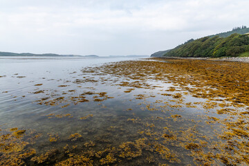 Winding through the Scottish Highlands, the road unveils green pastures, roaming wildlife, and vast unspoiled landscapes. A journey through raw beauty, freedom, silence,nature, timeless wilderness.