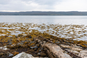 Winding through the Scottish Highlands, the road unveils green pastures, roaming wildlife, and vast unspoiled landscapes. A journey through raw beauty, freedom, silence,nature, timeless wilderness.