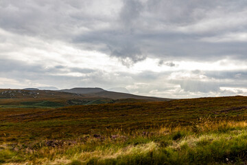 Obraz premium Winding through the Scottish Highlands, the road unveils green pastures, roaming wildlife, and vast unspoiled landscapes. A journey through raw beauty, freedom, silence,nature, timeless wilderness.