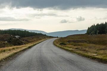 Winding through the Scottish Highlands, the road unveils green pastures, roaming wildlife, and vast...