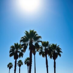 Fototapeta premium Misty morning, California palm trees silhouetted against a vibrant blue sky, outdoor, serene, stock photo