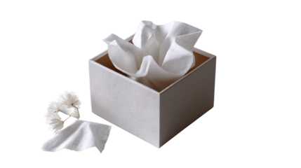 Soft Tissue Dispenser: Delicate tissues spill from an elegant dispenser. a soft reminder of comfort and care. the epitome of everyday ease.