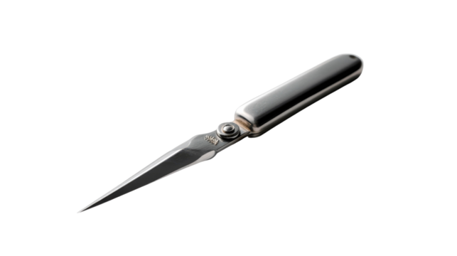 Classic Metal Letter Opener: A classic metal letter opener in gleaming silver lies gracefully, isolated, suggesting themes of correspondence and refined style.
