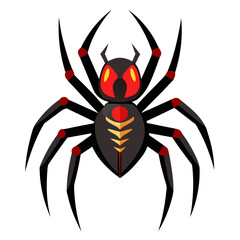 spider on a white background