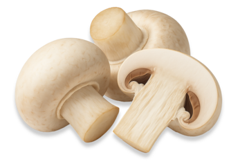 Mushrooms