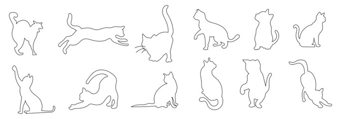Collection of cat silhouettes in various poses isolated on background