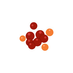 Fresh Seafood Illustration