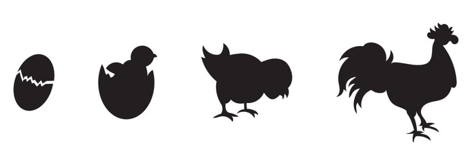 hen or chicken, rooster and chicks silhouette set. hen, rooster and chicks isolated farm animal silhouette icon vector collection