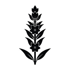 tall gladiolus stem with multiple blossoms