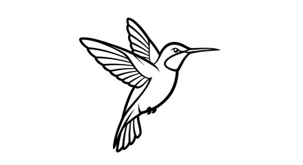 Hummingbird Flying Line Art