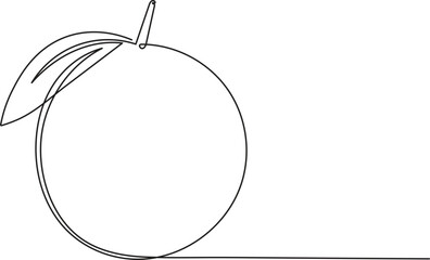 Orange fruit in continuous line art drawing style. Fruit minimalist black linear sketch isolated on white background. Vector illustration
