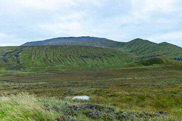Fototapeta premium Winding through the Scottish Highlands, the road unveils green pastures, roaming wildlife, and vast unspoiled landscapes. A journey through raw beauty, freedom, silence,nature, timeless wilderness.
