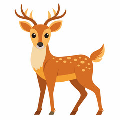 deer vector illustration