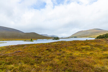 Winding through the Scottish Highlands, the road unveils green pastures, roaming wildlife, and vast unspoiled landscapes. A journey through raw beauty, freedom, silence,nature, timeless wilderness.