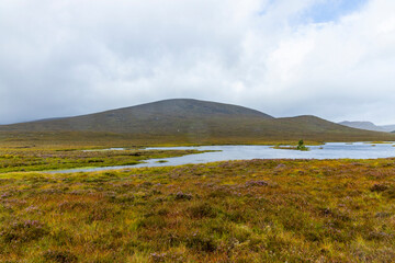 Winding through the Scottish Highlands, the road unveils green pastures, roaming wildlife, and vast unspoiled landscapes. A journey through raw beauty, freedom, silence,nature, timeless wilderness.