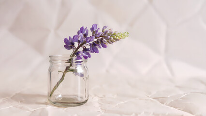 Obraz premium flower in a vase