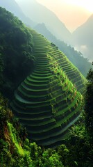 terraced rice terraces