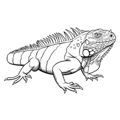 Obraz premium Iguana Illustration - Detailed Line Art