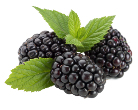 Group of three black raspberries with leaves