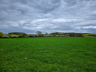 wide, lush green meadow stretches across the landscape beneath a dramatic, cloud-filled sky, bordered by blossoming trees and distant woods