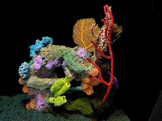 A display of different coral items in an under water display in a marine aquarium