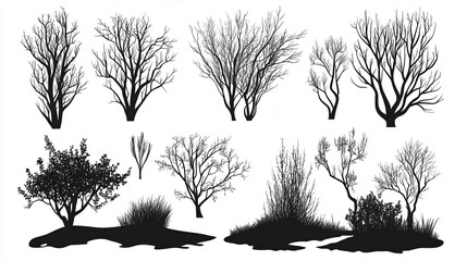 Fototapeta premium set of bush and bare bush, decorative garden plants, silhouettes. Vector illustration