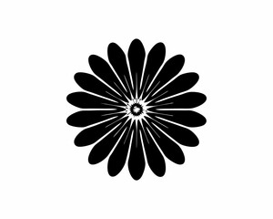 creative details  Daisy flower icon Vector Illustration 