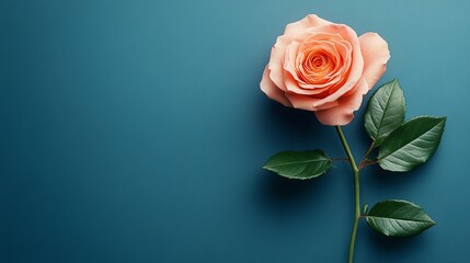 Fototapeta premium The image features a close-up view of a rose with a peach hue, paired with dark green foliage, against a dark and blurry backdrop