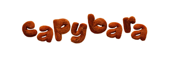 3d capybara letters on transparent background