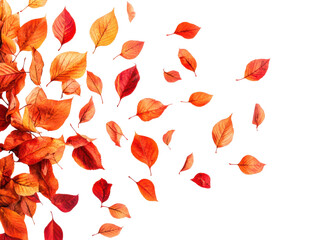Colorful autumn leaves falling nature scene isolated on transparent background