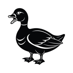 angry mandarin duck illustration design 