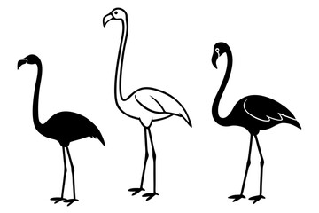 set of flamingo bird vector silhouette illustration isolated on white background