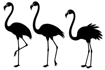 set of flamingo bird vector silhouette illustration isolated on white background