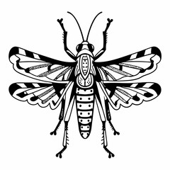 creative details grasshopper icon vector illustration 