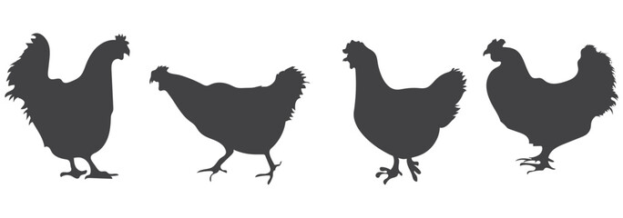 Hens silhouette Icon. Vector silhouette set of detailed quality chickens hens, poultry. Eps 10